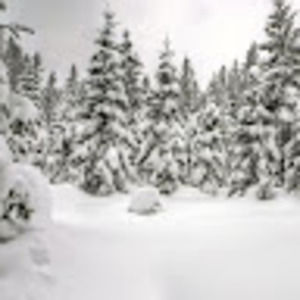 Meet your Posher, Tami